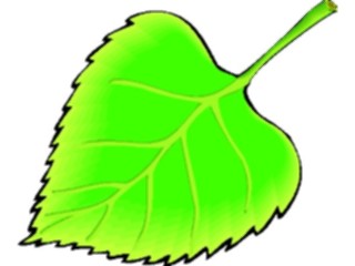Sticker Custom Preview Image #132579 Trees Leaves Leaves Leaf103
