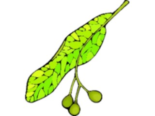 Sticker Custom Preview Image #132581 Trees Leaves Leaves Leaf105