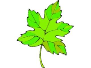 Sticker Custom Preview Image #132582 Trees Leaves Leaves Leaf106
