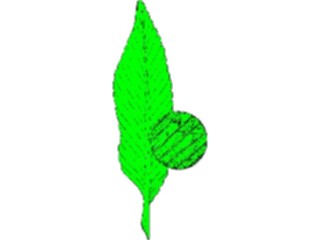 Sticker Custom Preview Image #132588 Trees Leaves Leaves Leaf112