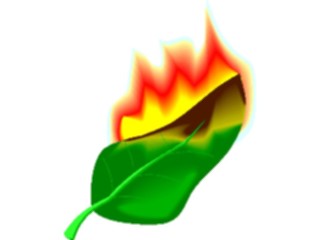 Sticker Custom Preview Image #132615 Trees Leaves Leaves Leaf Burning