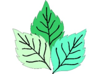 Sticker Custom Preview Image #132655 Trees Leaves Leaves Leaves28