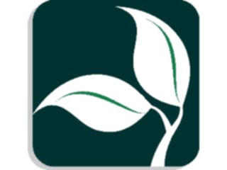 Sticker Custom Preview Image #132723 Trees Leaves Leaves Leaves Background3