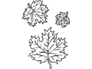 Sticker Custom Preview Image #132743 Trees Leaves Leaves Maple Leaves2