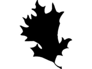 Sticker Custom Preview Image #132745 Trees Leaves Leaves Oak Leaf2