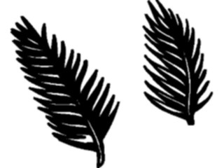 Sticker Custom Preview Image #132749 Trees Leaves Leaves Palm Fronds1