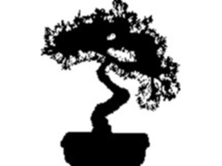 Sticker Custom Preview Image #132768 Trees Leaves Trees Bonsai Tree1