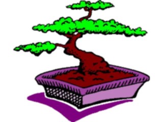 Sticker Custom Preview Image #132770 Trees Leaves Trees Bonsai Tree3