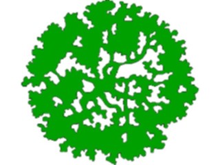 Sticker Custom Preview Image #132796 Trees Leaves Trees Overhead