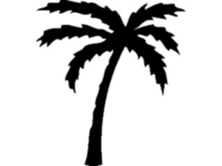 Sticker Custom Preview Image #132803 Trees Leaves Trees Palm Tree02
