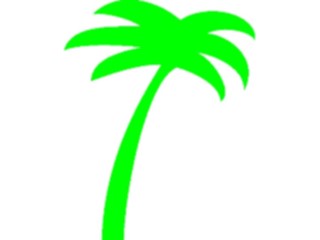 Sticker Custom Preview Image #132806 Trees Leaves Trees Palm Tree05