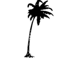 Sticker Custom Preview Image #132811 Trees Leaves Trees Palm Tree10