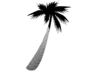 Sticker Custom Preview Image #132812 Trees Leaves Trees Palm Tree11