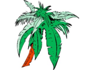 Sticker Custom Preview Image #132813 Trees Leaves Trees Palm Tree12