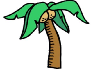 Sticker Custom Preview Image #132815 Trees Leaves Trees Palm Tree14