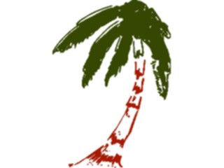 Sticker Custom Preview Image #132817 Trees Leaves Trees Palm Tree16