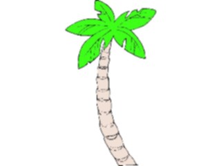 Sticker Custom Preview Image #132820 Trees Leaves Trees Palm Tree19