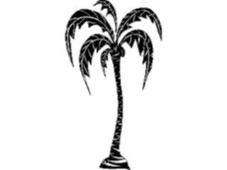 Sticker Custom Preview Image #132821 Trees Leaves Trees Palm Tree20