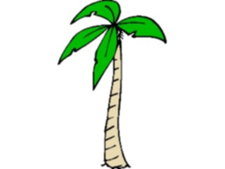 Sticker Custom Preview Image #132823 Trees Leaves Trees Palm Tree22