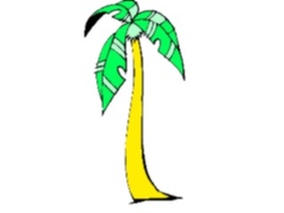 Sticker Custom Preview Image #132834 Trees Leaves Trees Palm Tree33