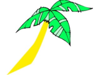 Sticker Custom Preview Image #132835 Trees Leaves Trees Palm Tree34