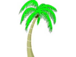 Sticker Custom Preview Image #132839 Trees Leaves Trees Palm Tree38