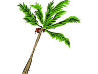 Sticker Custom Preview Image #132843 Trees Leaves Trees Palm Tree42