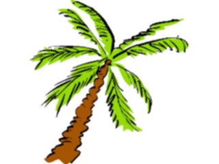 Sticker Custom Preview Image #132844 Trees Leaves Trees Palm Tree43