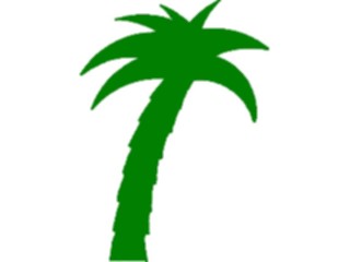 Sticker Custom Preview Image #132845 Trees Leaves Trees Palm Tree44