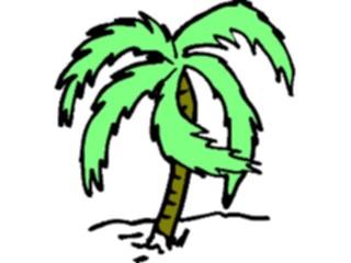 Sticker Custom Preview Image #132846 Trees Leaves Trees Palm Tree45