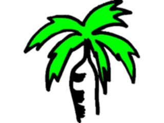 Sticker Custom Preview Image #132848 Trees Leaves Trees Palm Tree47