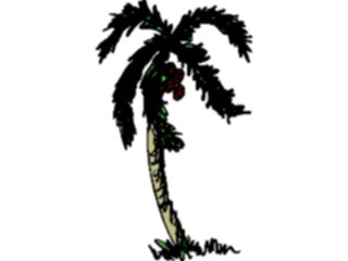 Sticker Custom Preview Image #132850 Trees Leaves Trees Palm Tree49