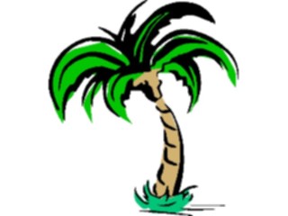 Sticker Custom Preview Image #132852 Trees Leaves Trees Palm Tree51
