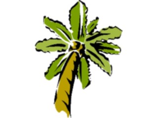 Sticker Custom Preview Image #132853 Trees Leaves Trees Palm Tree52