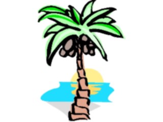 Sticker Custom Preview Image #132855 Trees Leaves Trees Palm Tree54