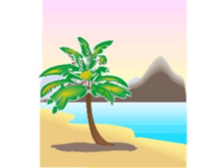 Sticker Custom Preview Image #132858 Trees Leaves Trees Palm Tree57