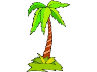 Sticker Custom Preview Image #132859 Trees Leaves Trees Palm Tree58