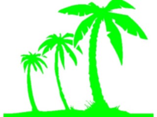 Sticker Custom Preview Image #132875 Trees Leaves Trees Palm Trees10