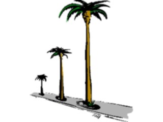 Sticker Custom Preview Image #132879 Trees Leaves Trees Palm Trees14