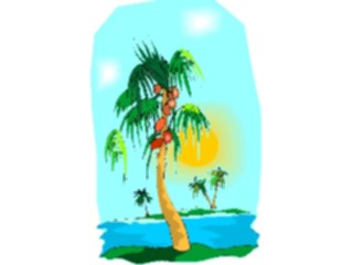 Sticker Custom Preview Image #132883 Trees Leaves Trees Palm Trees18