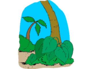 Sticker Custom Preview Image #132885 Trees Leaves Trees Palm Trees20