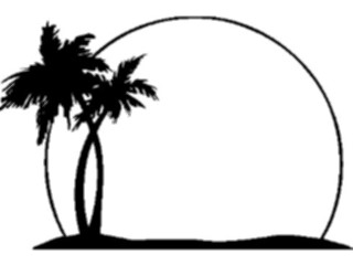 Sticker Custom Preview Image #132891 Trees Leaves Trees Palm Trees Frame2