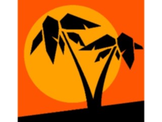 Sticker Custom Preview Image #132893 Trees Leaves Trees Palm Trees Sunset