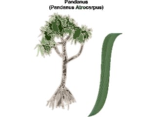 Sticker Custom Preview Image #132895 Trees Leaves Trees Pandanus