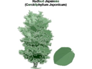 Sticker Custom Preview Image #132900 Trees Leaves Trees Redbud Japanese