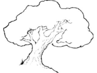 Sticker Custom Preview Image #132910 Trees Leaves Trees Tree002