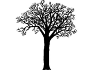 Sticker Custom Preview Image #132913 Trees Leaves Trees Tree005