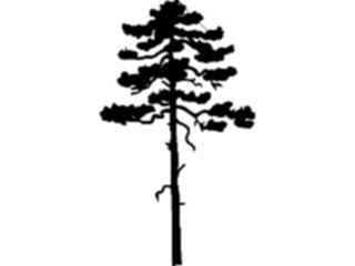 Sticker Custom Preview Image #132914 Trees Leaves Trees Tree006