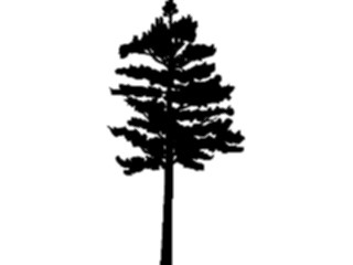 Sticker Custom Preview Image #132915 Trees Leaves Trees Tree007