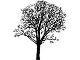 Sticker Custom Preview Image #132921 Trees Leaves Trees Tree013